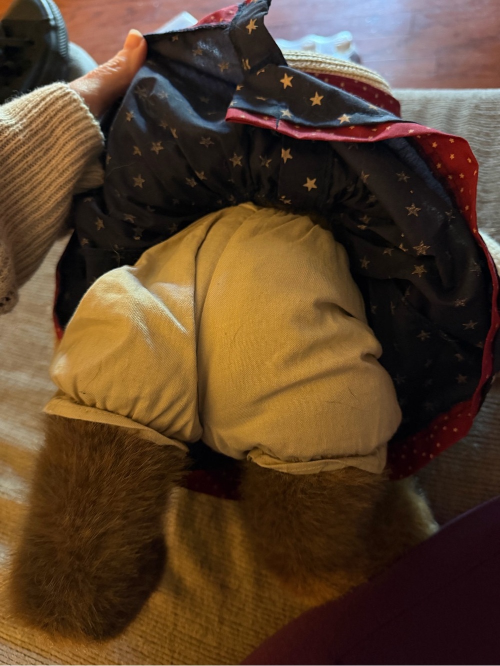Vintage Boyds Bear Dolly M Bearsevelt - Picture 2 of 4